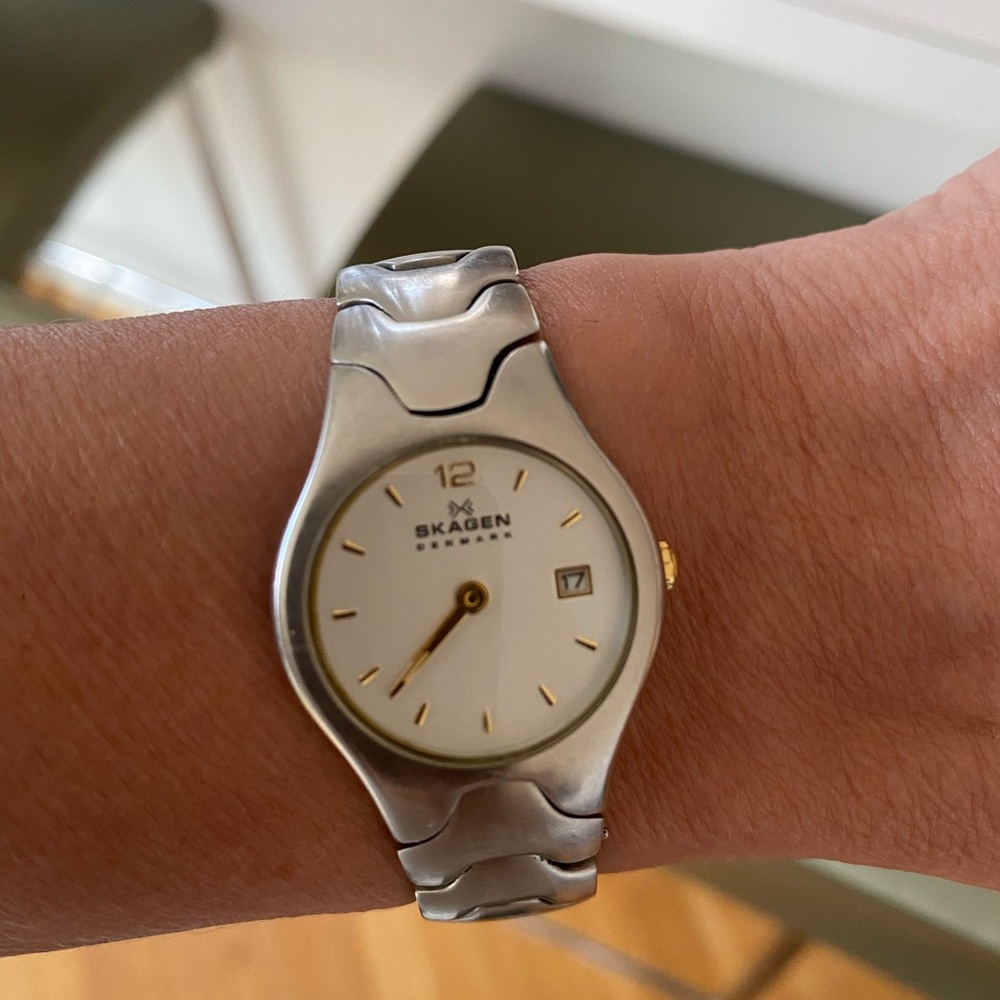 Stainless steel Skagen ladies watch.